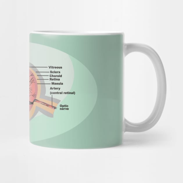 National Eye Care Month, Eye Diagram by HolidayBug